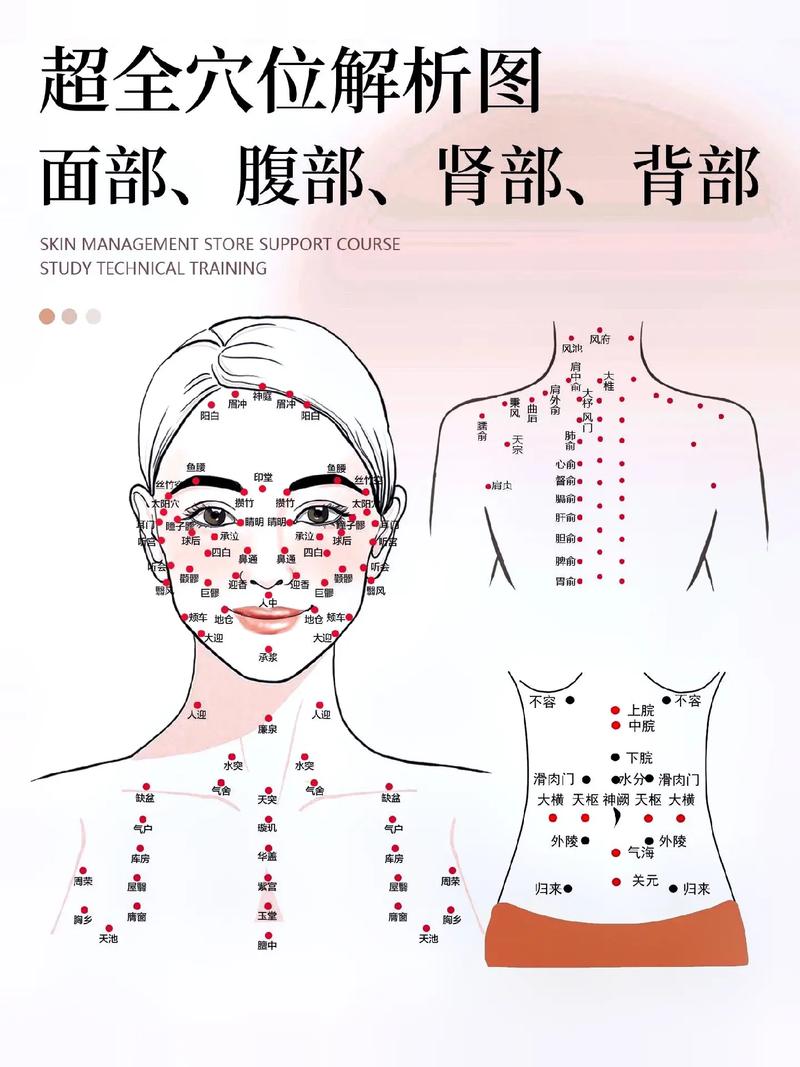 穴位