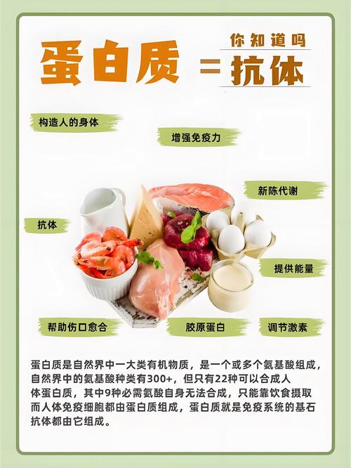  肉类摄入