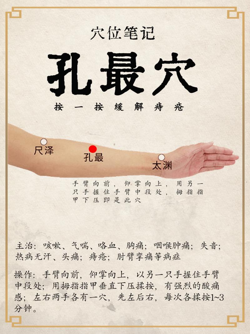 肛门穴位