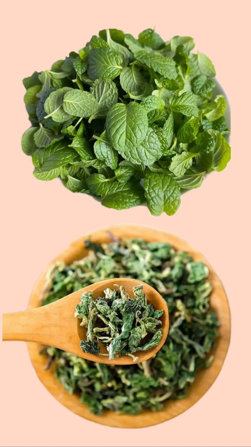  薄荷茶