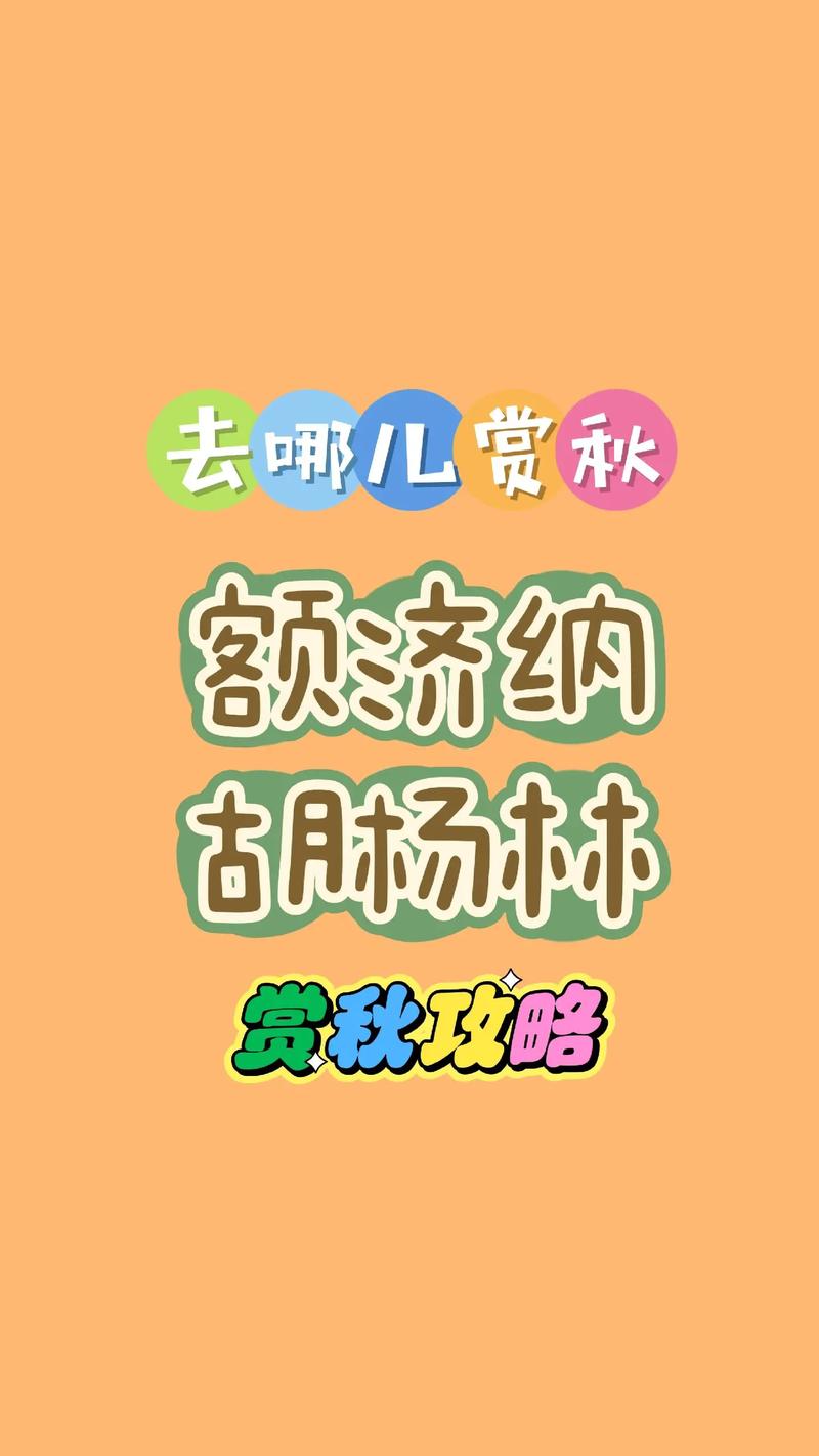  推荐