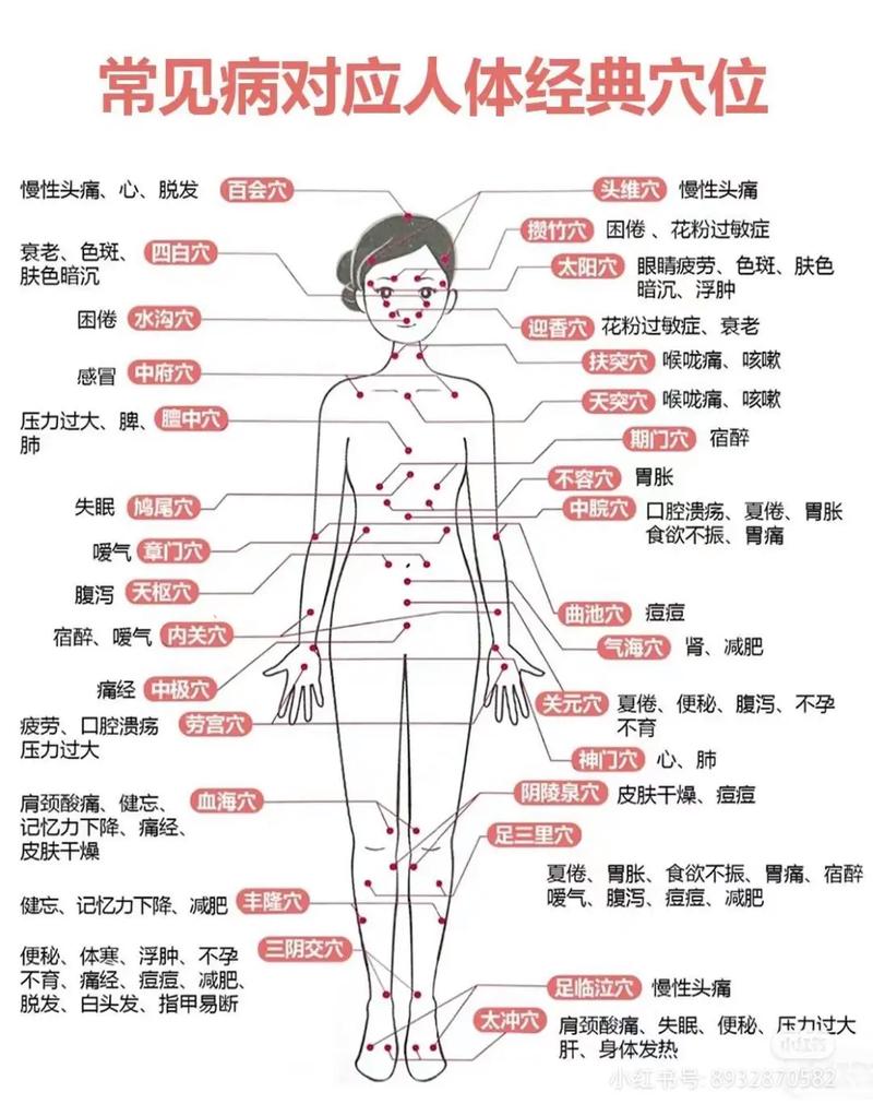 穴位选择