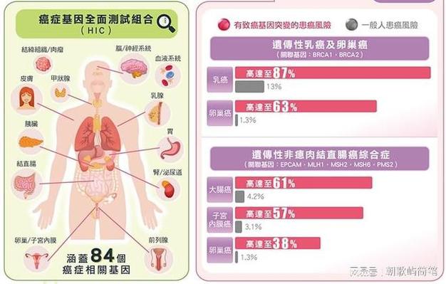 高发原因