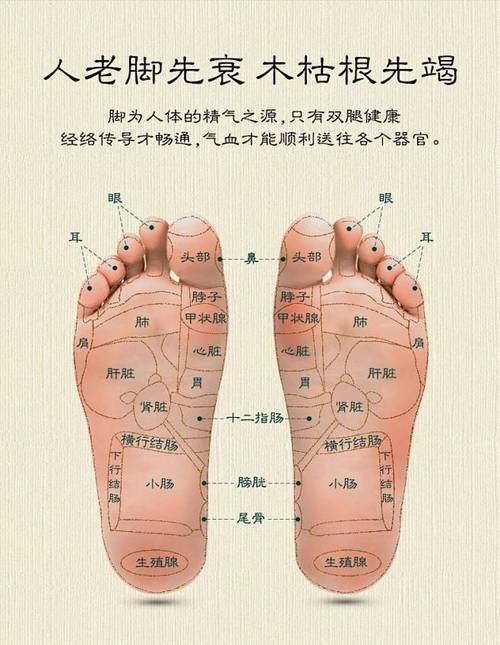 脚步按摩