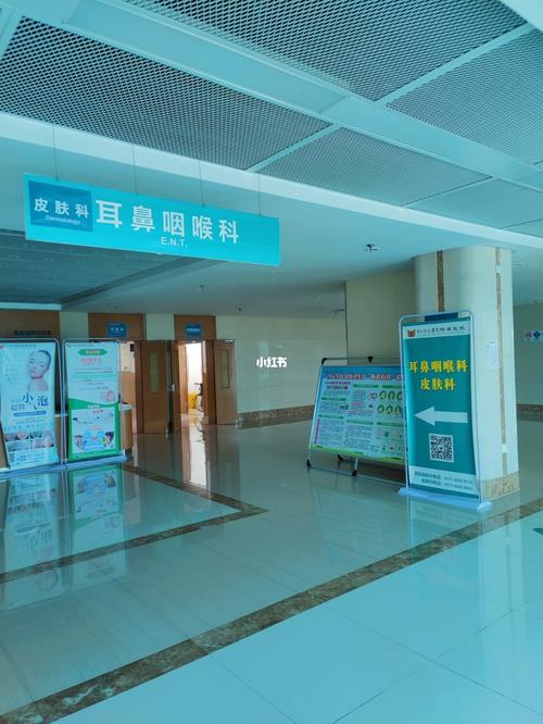 鼻炎科