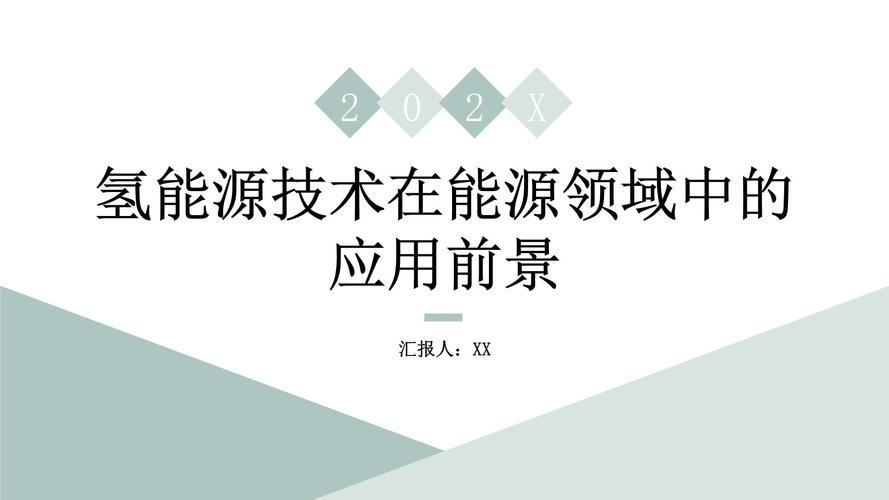 <应用前景>