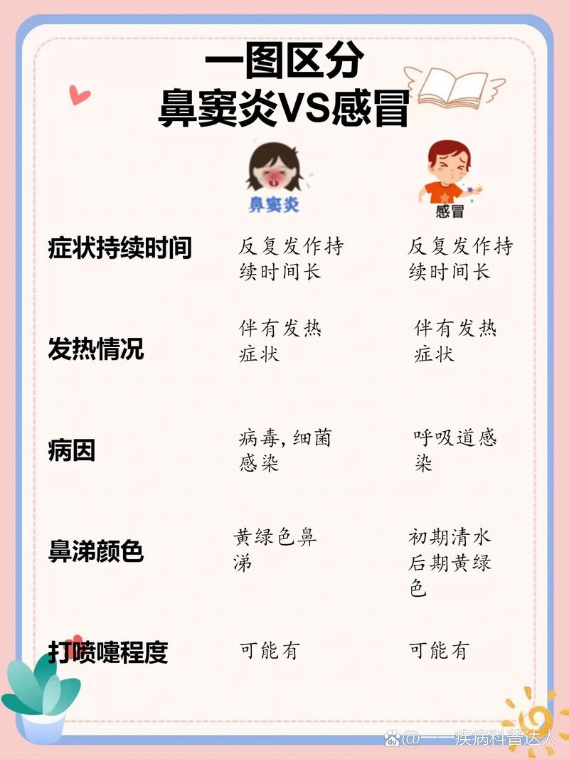 感冒鼻炎