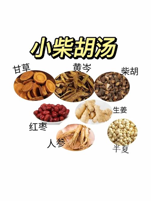 小柴胡汤