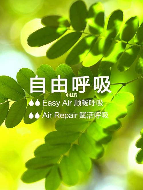 呼吸自由