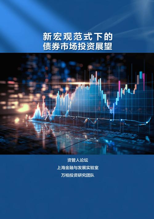 投资展望