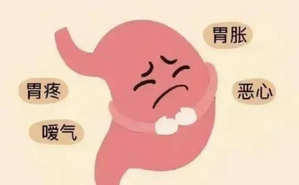 消化系统影响