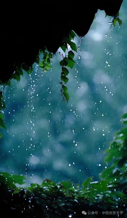 雨季