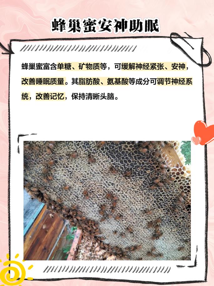 蜂子窝
