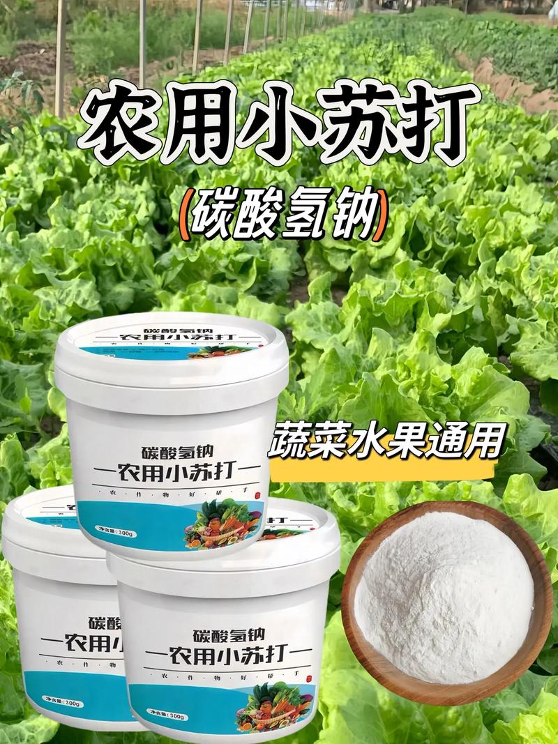 <小苏打>