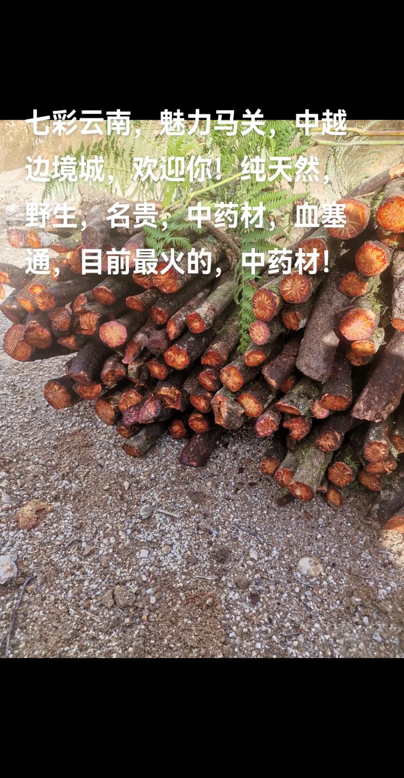 天然中草药