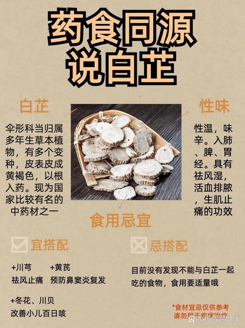 羚窍白芷