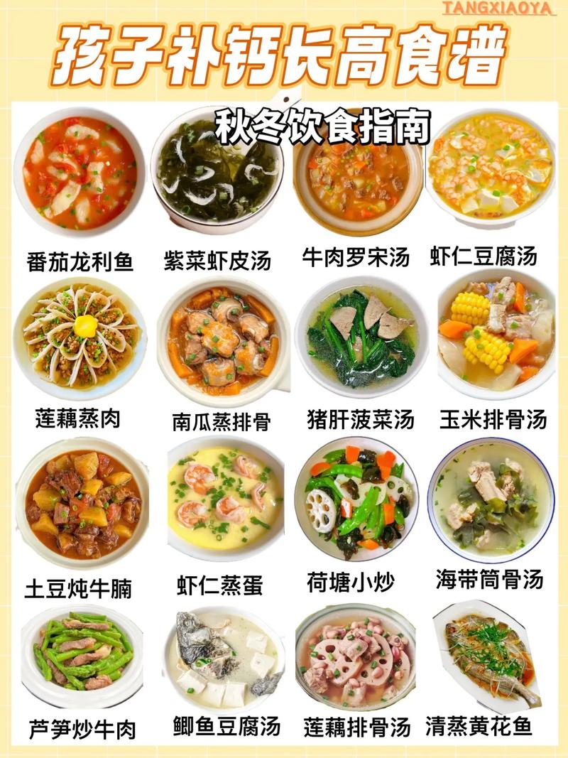 食谱