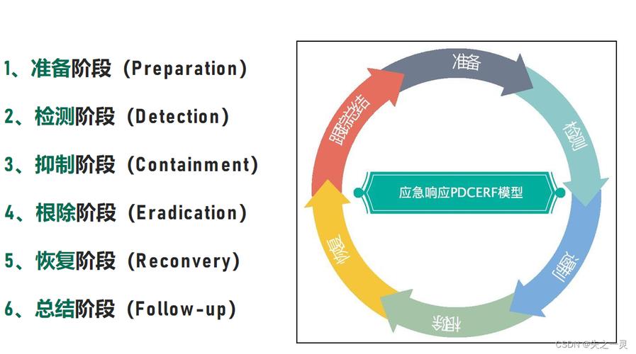  根除策略