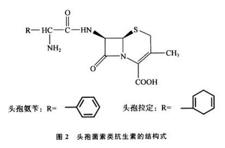 头孢类抗生素