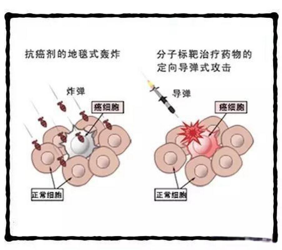 <靶向治疗>
