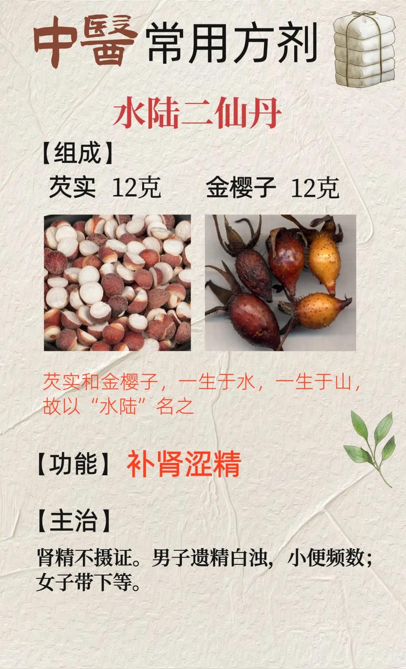 中医方剂