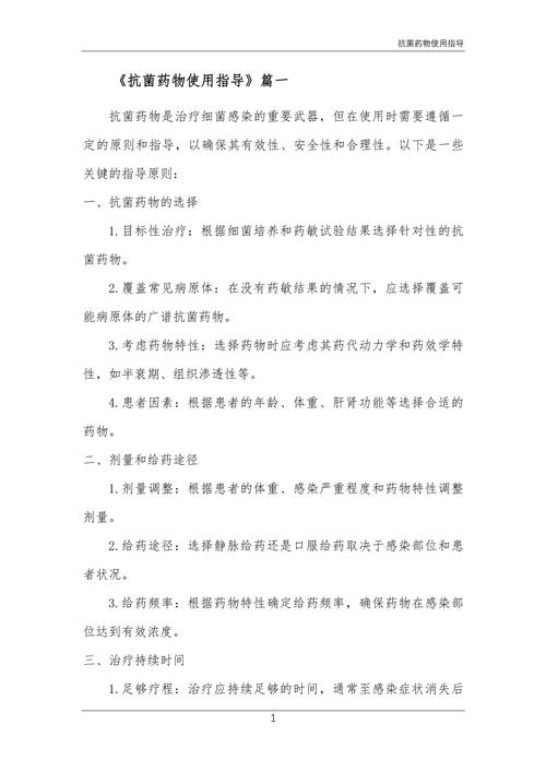 使用指导