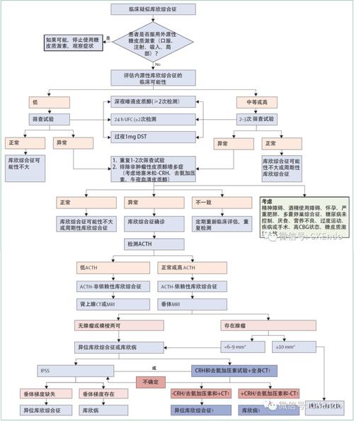  诊断流程