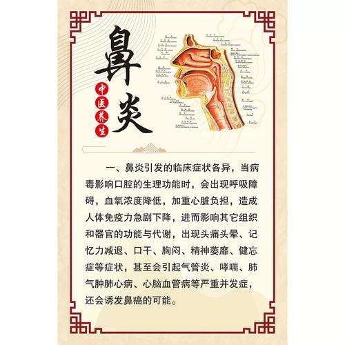 鼻炎功效