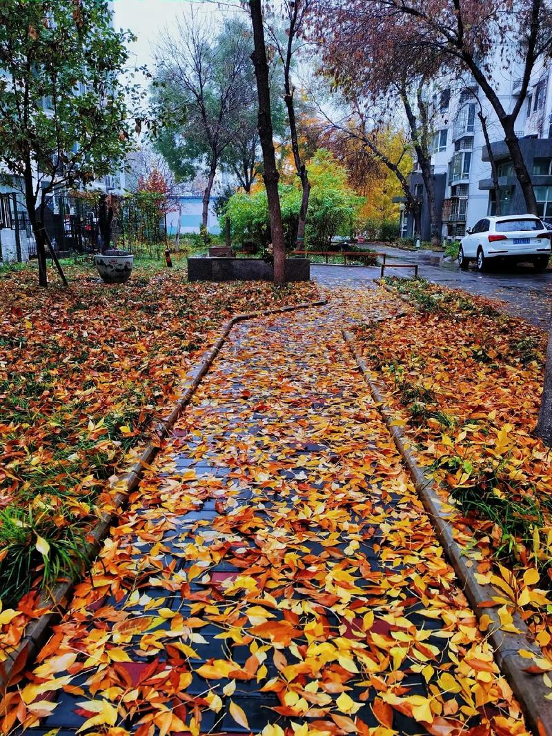 秋天北京