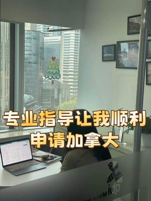 专业指导