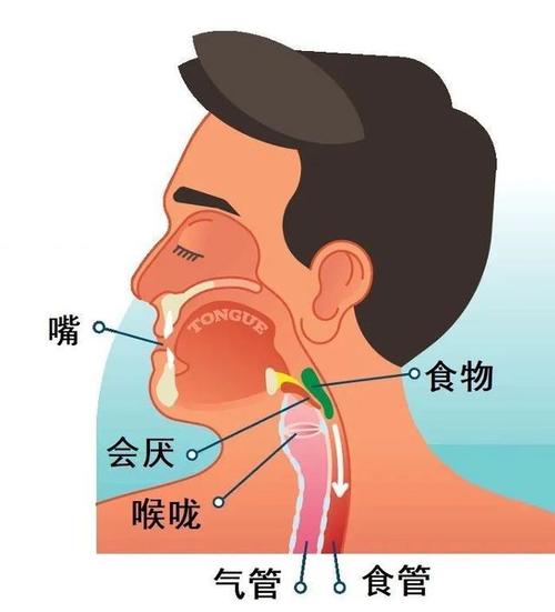 误入嗓子