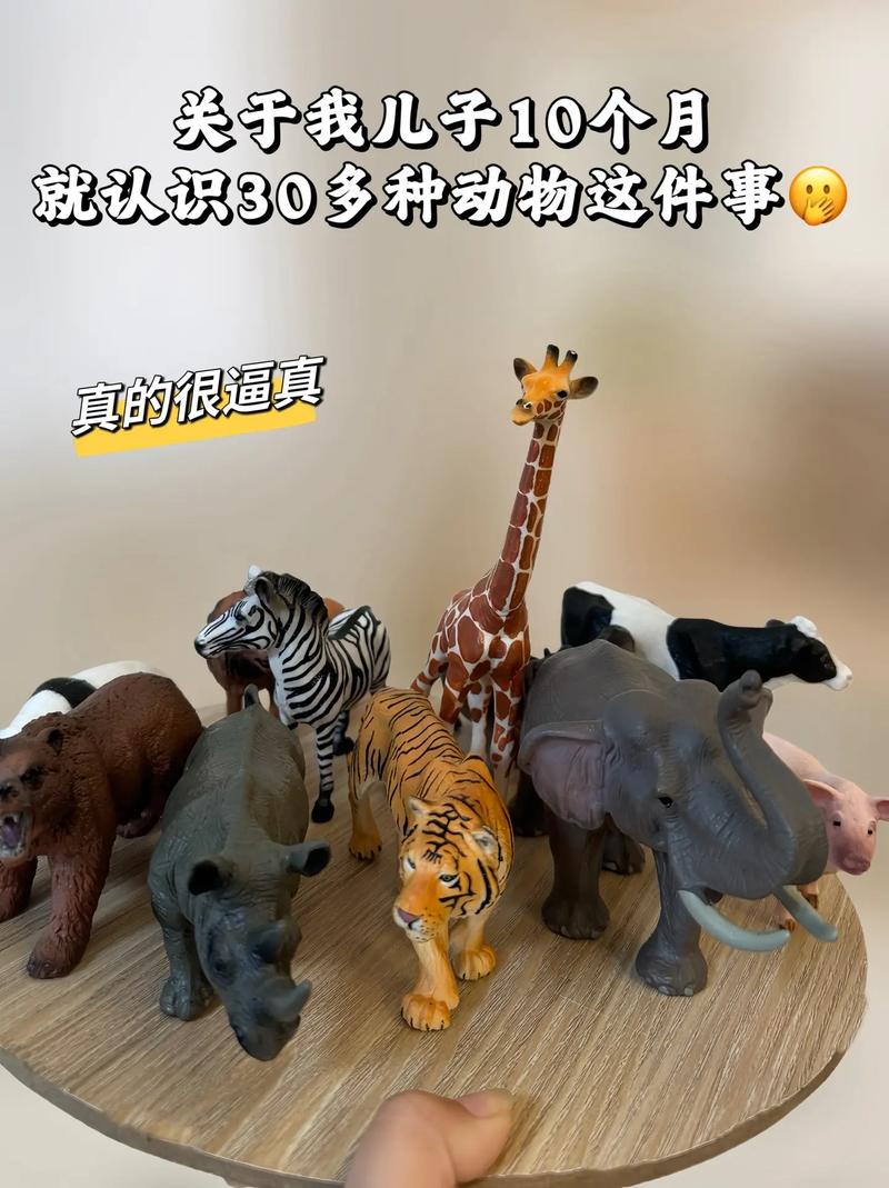 动物模型