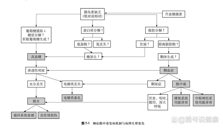  发病机制