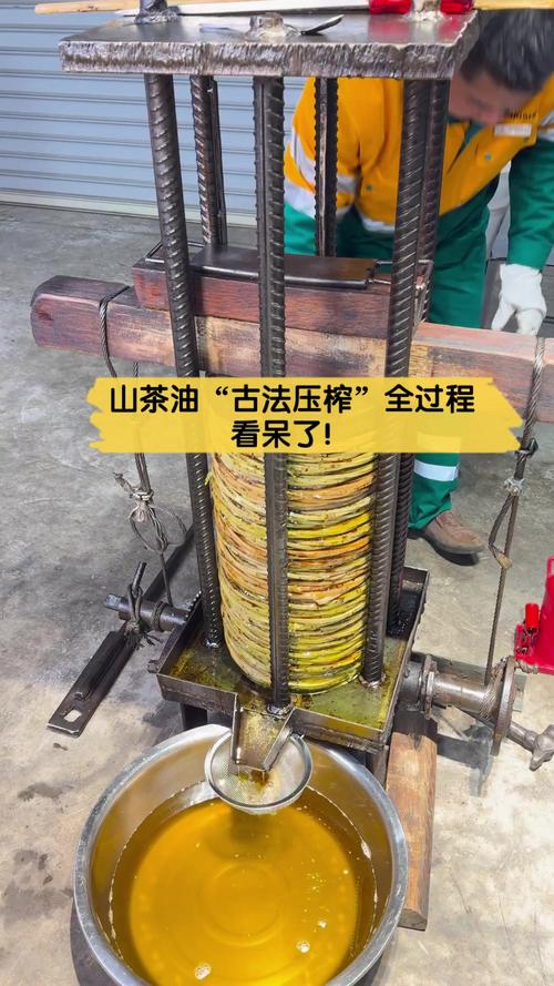 茶油疗法
