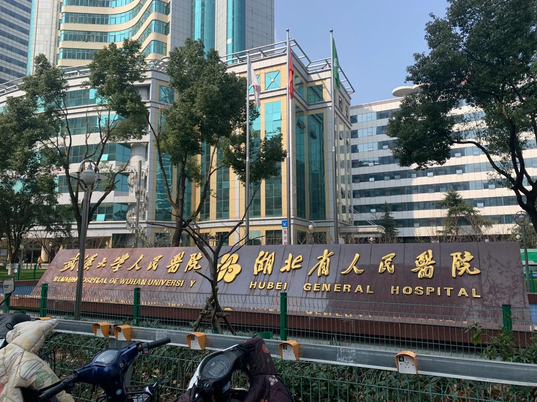 武汉大学人民医院