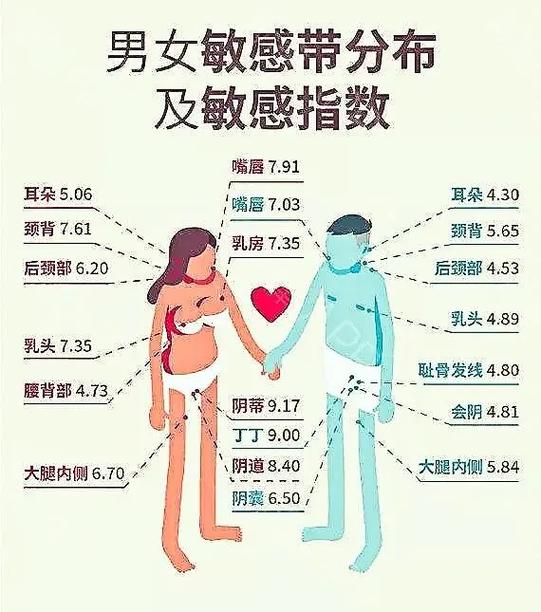 机体敏感性