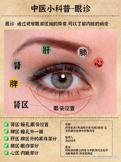 视诊指南