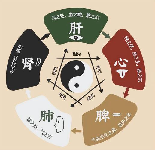 中医原理