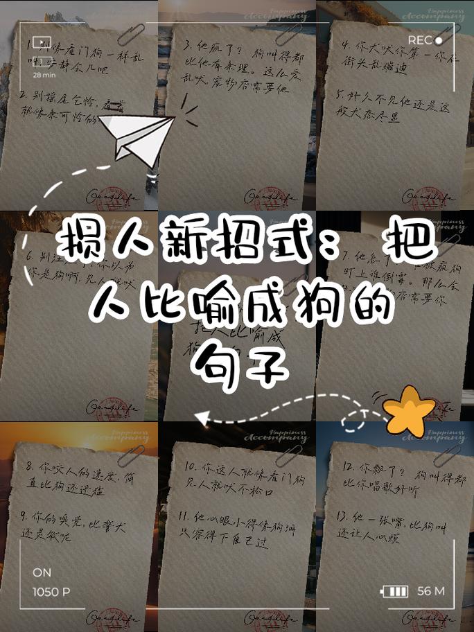 新招式