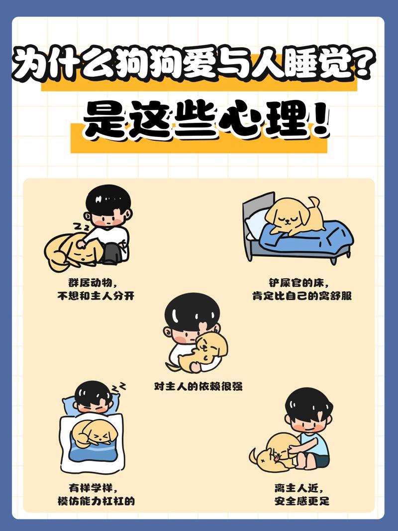  原因