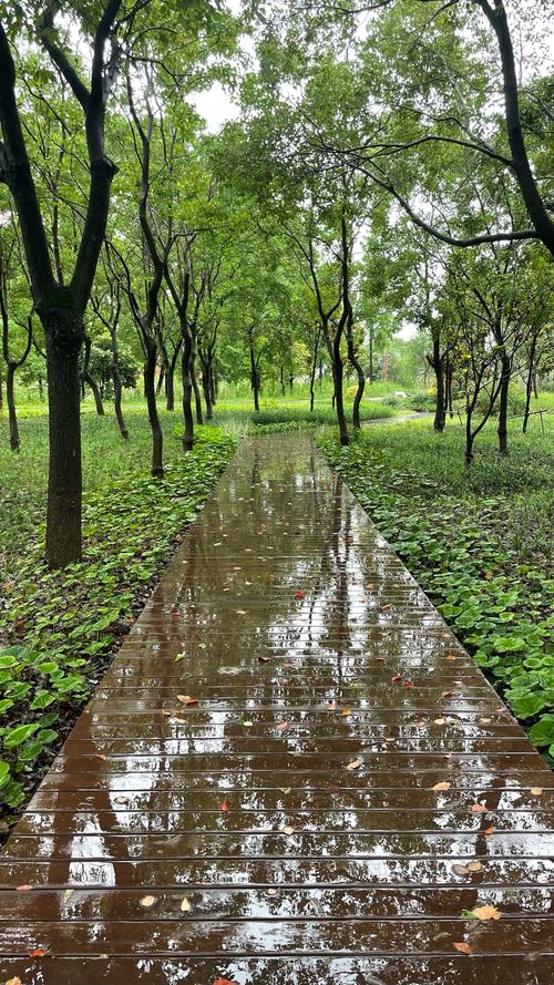 雨后