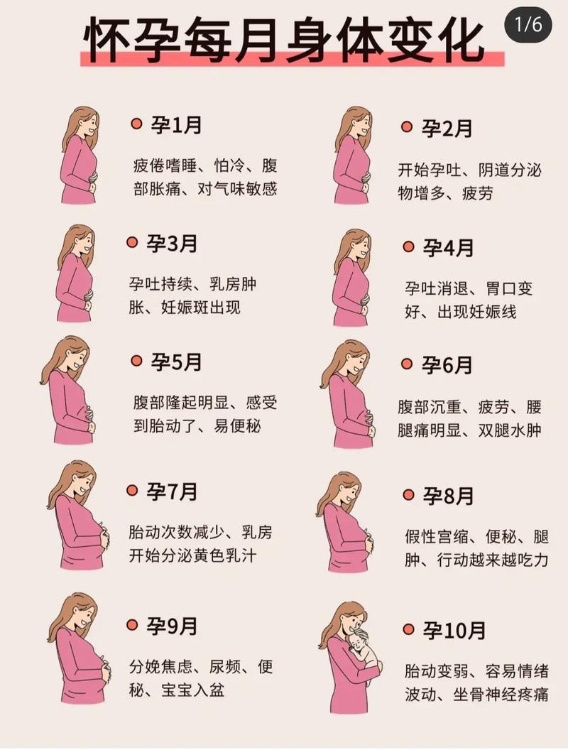  怀孕