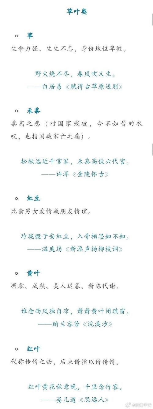 含义
