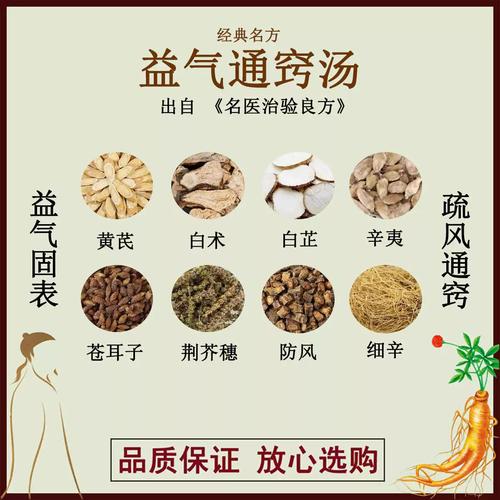 辛夷苍耳子汤