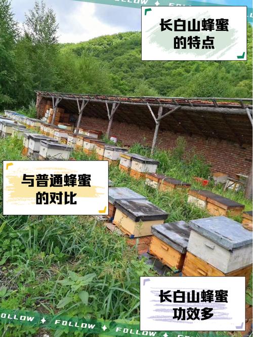 长白山蜂蜜