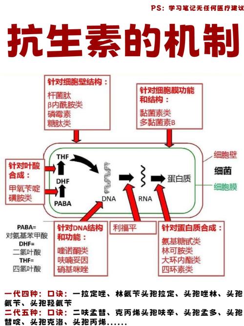 药物作用机制