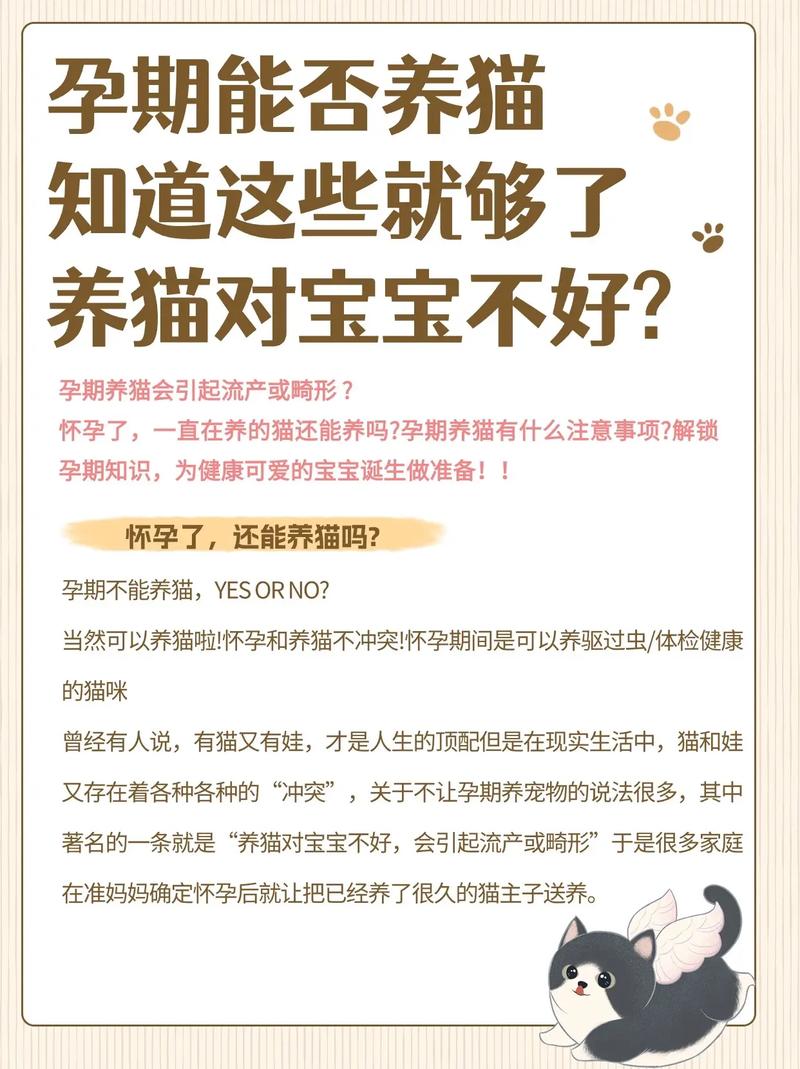 孕妇养猫