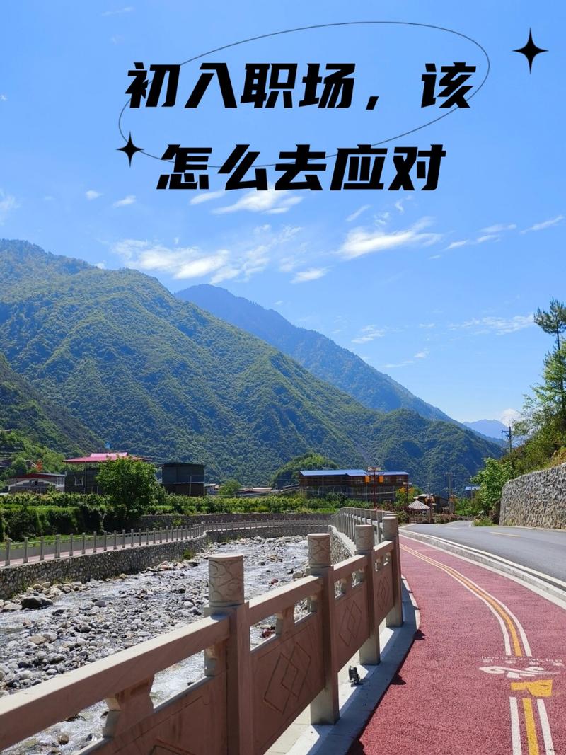应对