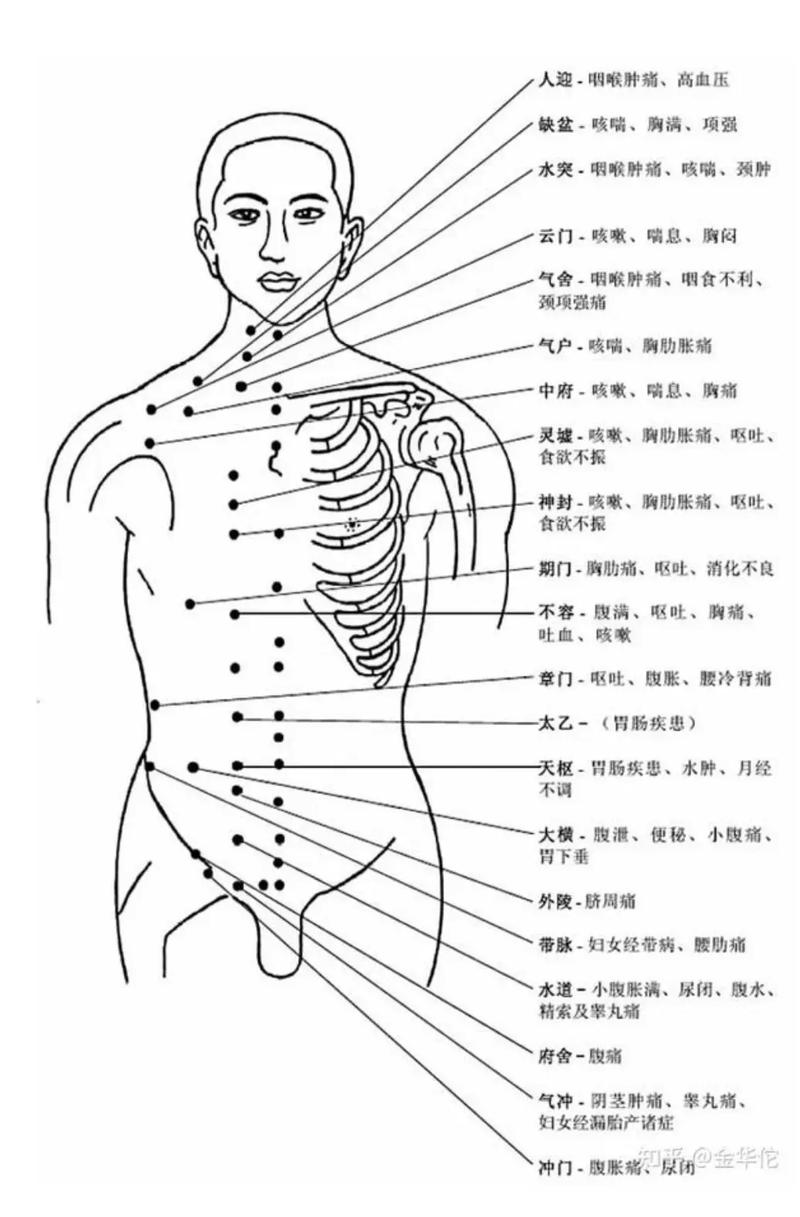 常用穴位