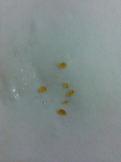 黄色颗粒